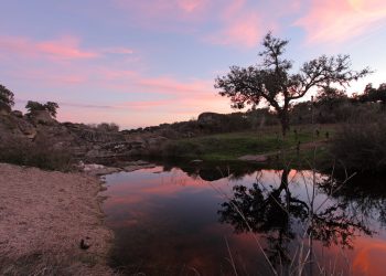 Is Biodiversity a Relevant Attribute for Assessing Natural Parks? Evidence from Cornalvo Natural Park in Spain