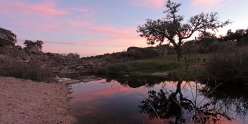 Is Biodiversity a Relevant Attribute for Assessing Natural Parks? Evidence from Cornalvo Natural Park in Spain