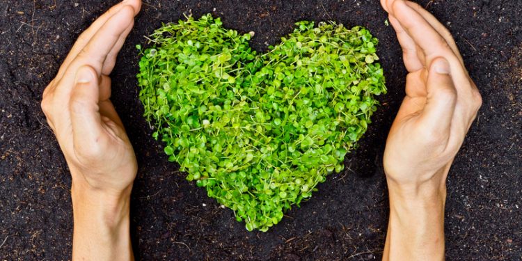 Environmental ethics