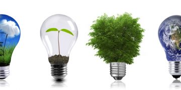 The Quintuple Helix Model: Cooperation system for a sustainable electric power industry in Mexico