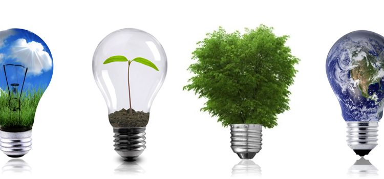 The Quintuple Helix Model: Cooperation system for a sustainable electric power industry in Mexico