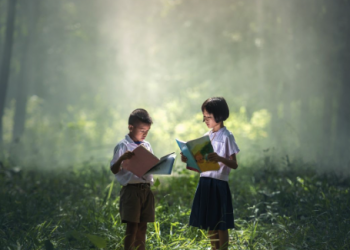 What role do emotions play in transforming students’ environmental behaviour at school?