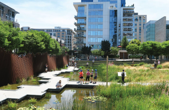 Mapping practitioners’ socio-technical perception on blue-green infrastructure for urban climate resilience: Demographic factors, barriers, costs-benefits, and opportunities for implementation