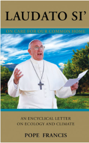 Laudato Si’ in Hotel Management: Nurturing Environmental Stewardship